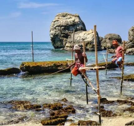 Travel the world with NOMA image on Nomad Stays